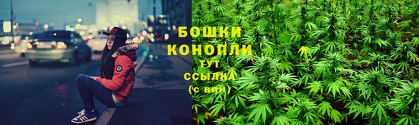 дмт Сосновка