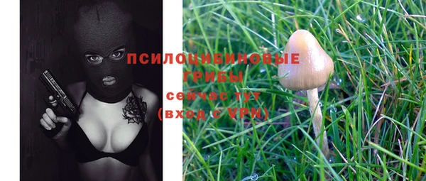 MDMA Сосновоборск