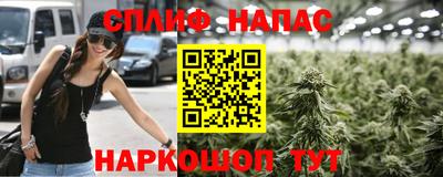 стафф Краснодар