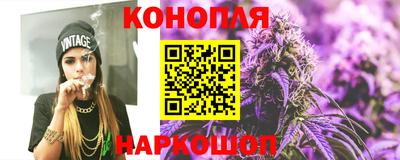 сатива Краснознаменск