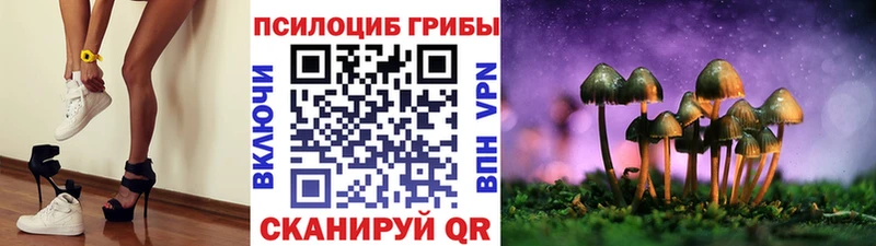 Псилоцибиновые грибы Psilocybe Южноуральск